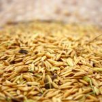 Africa’s Richest Man Aliko Dangote Invests $1 Billion in Rice in Nigeria