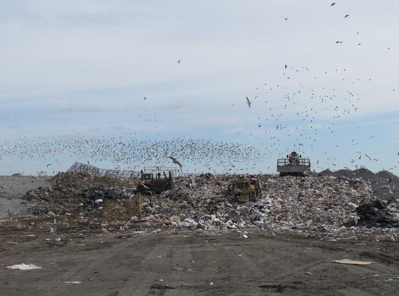 Making Dirty Clean: Scientists Use Landfill Byproducts for Hydrogen Fuel