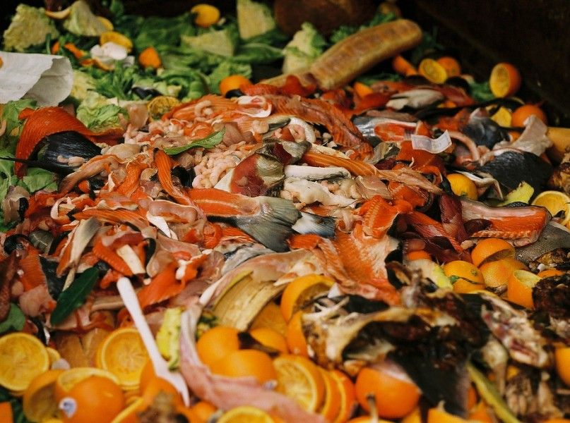 WISErg, Food-Waste Composter, Raises $5M Series B