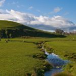 Waikato Uni Launches AgTech Fund to Disrupt NZ Agri-Business