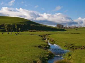 Waikato Uni Launches AgTech Fund to Disrupt NZ Agri-Business