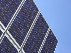Bio-PV Cell Breakthrough May Mean Cheaper, Flexible Solar Energy Panels