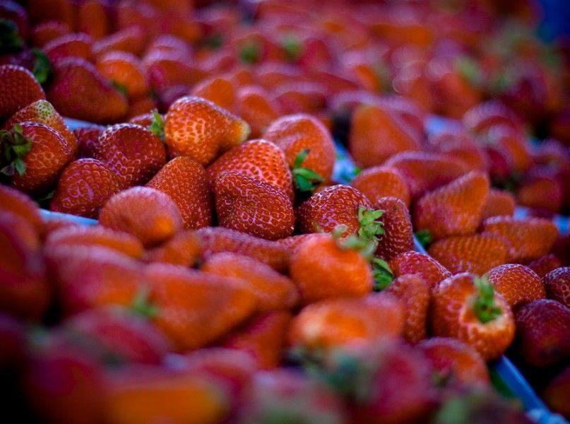 Farmstr, an Online Marketplace for Local Produce, Raises $1.3M