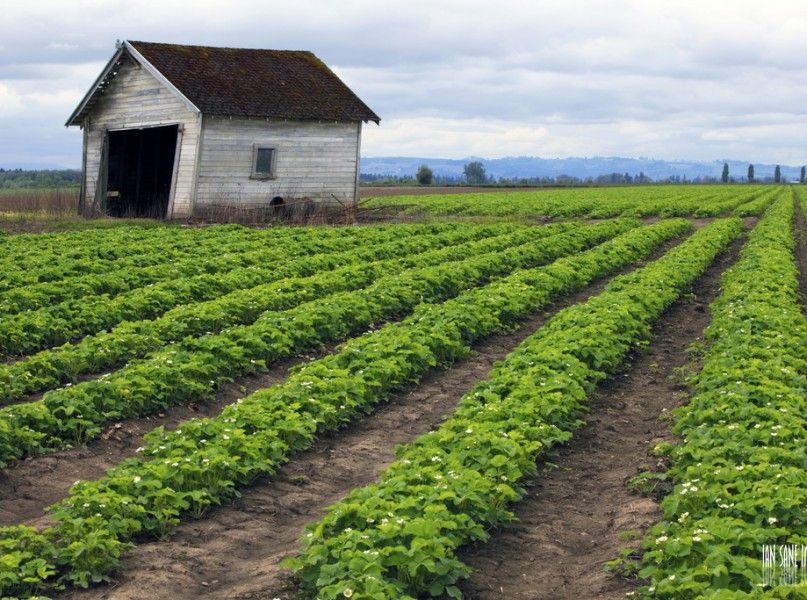 $50M AgTech Innovation Fund to Come Out of Davis, CA