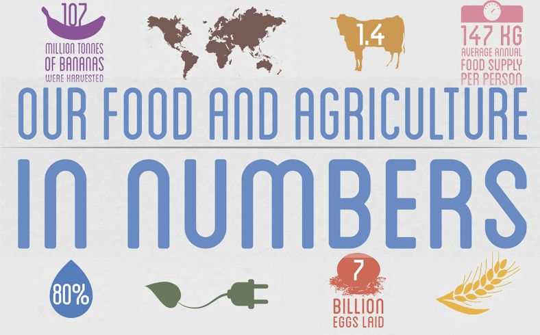 Our Food & Ag in Numbers