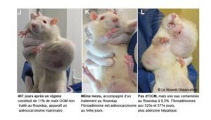 Controversial GMO Rat Study Retracted After Severe Criticism