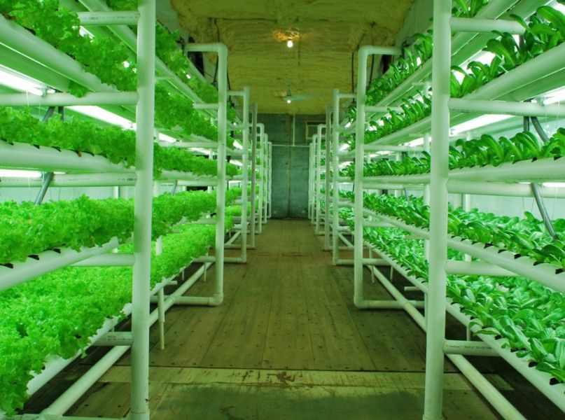 PodPonics, Hydroponic Produce Grower, Closes a $3.4M Series A