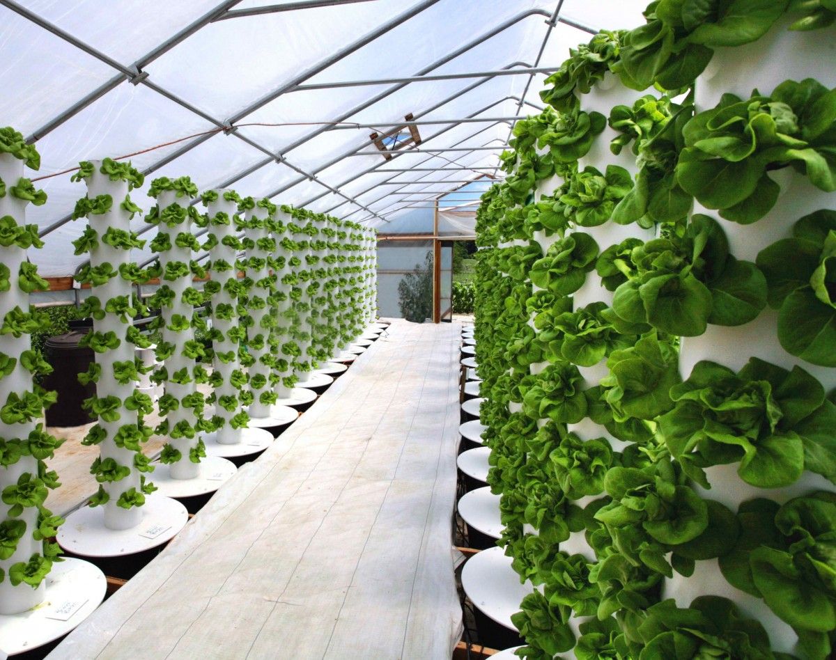 Ag Industry Brief: Agrilyst Indoor Farming Survey Open, Climate Ventures 2.0 Cohort, Coca Cola Investing $1.7bn in India Ag, more - AFN