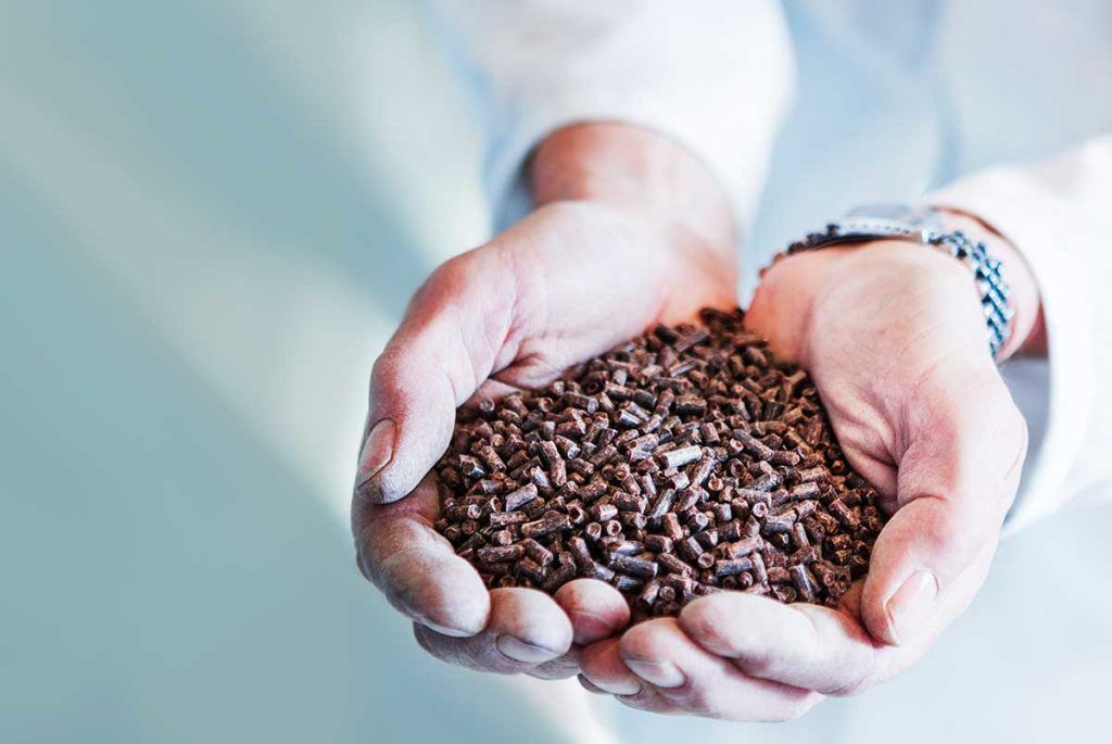 Sustainable Aquaculture Feed Company Calysta Raises $40 million