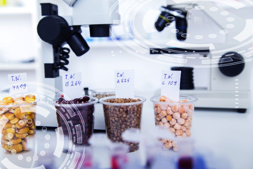 Innovative Food Startups Raise 206m to Meet Consumer Demand for