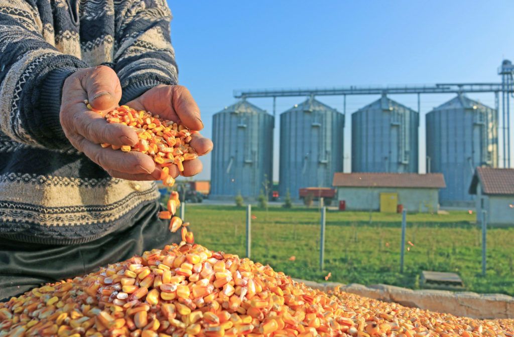 How Much Do Big Agrifood Companies Really Know About Their Supply 