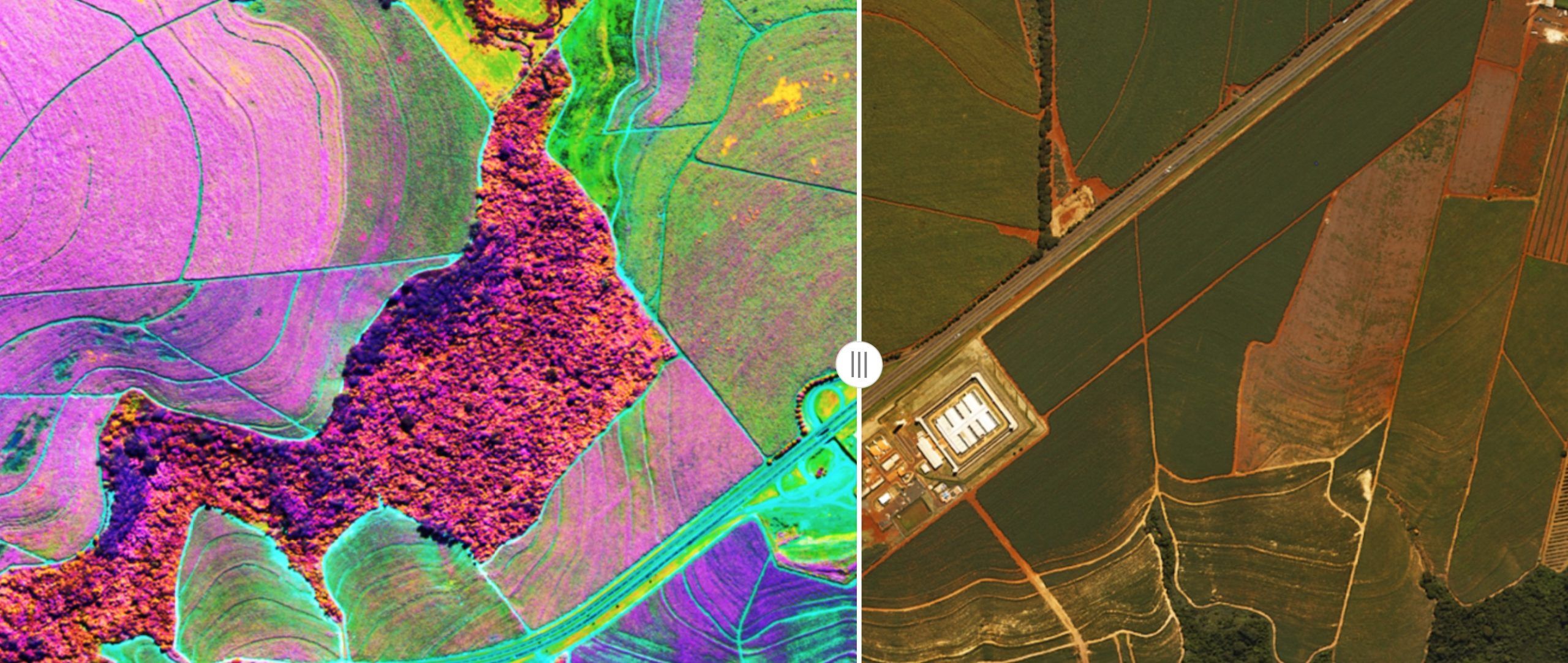 The Growing Impact of Hyperspectral Imagery in AgriFood Tech - AFN