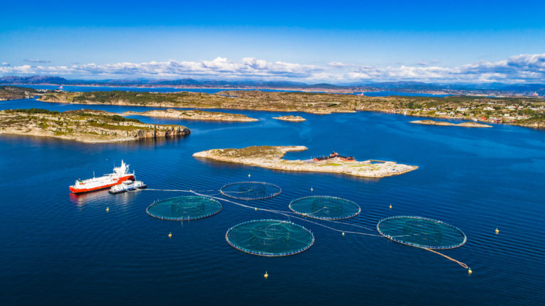 Aquaculture Startup Ecosystem