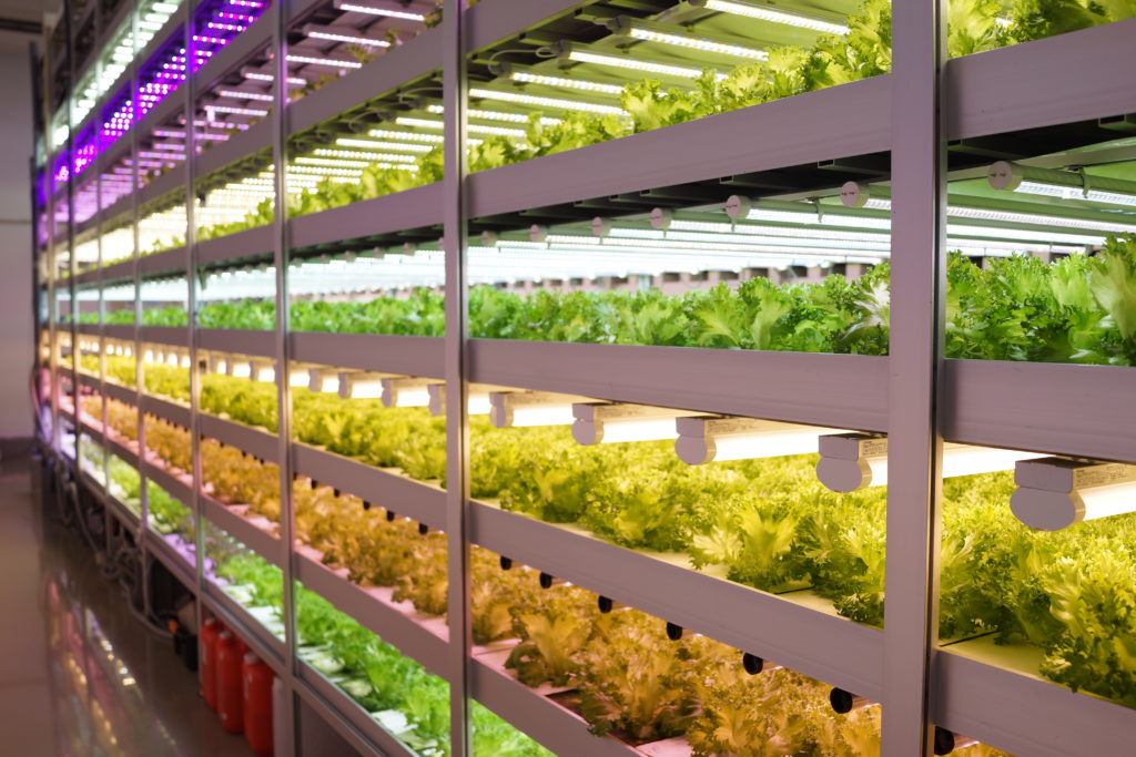 Japan's Indoor Ag Sector is Becoming More Collaborative - AgFunderNews