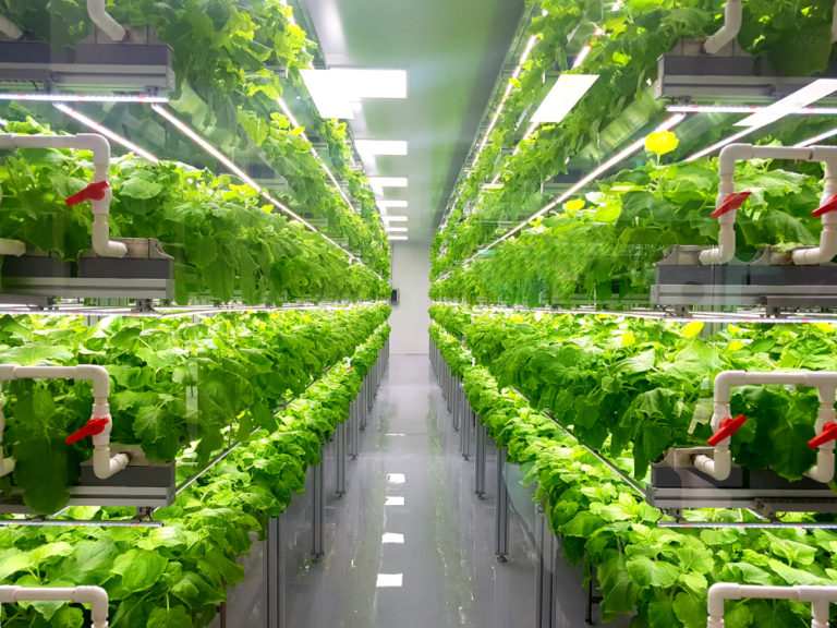 The economics of vertical & greenhouse farming are getting competitive