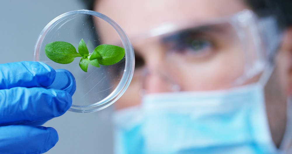 due diligence in ag biotech