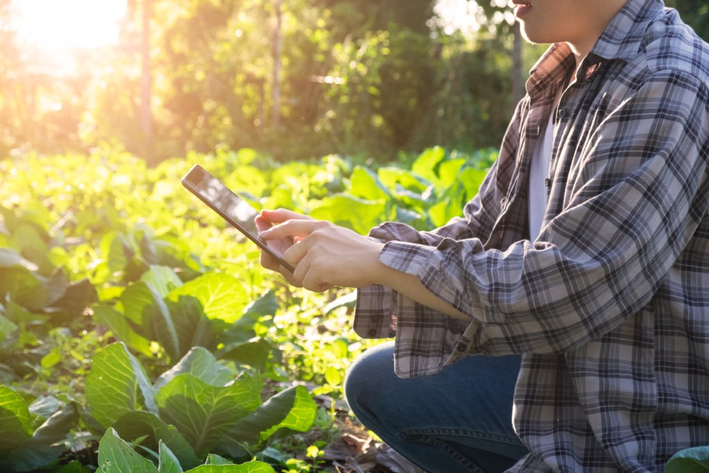 How fertilizer companies are using technology to stay relevant ...