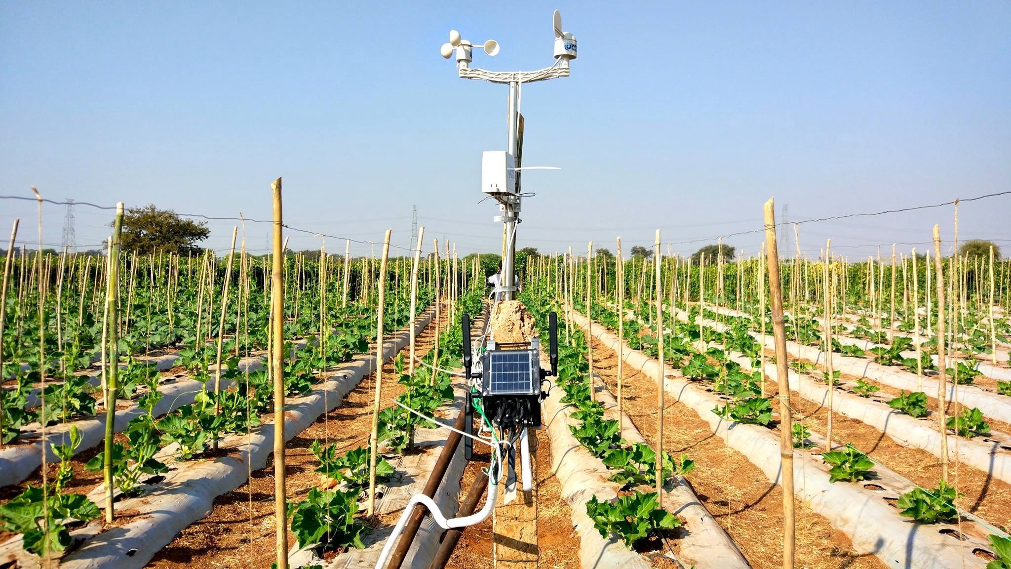 India's Fasal raises $1.6m seed funding to build out precision ag across SE  Asia - AFN
