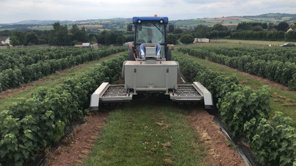 Zapped Machine Zap! This UK startup just raised €6.5m to commit electricide on weeds