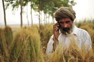 Farmer in India using smartphone