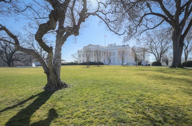 The north facade and lawn of the new White House.