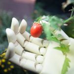 AI robot android hand holding fruit representing AI in agriculture and food