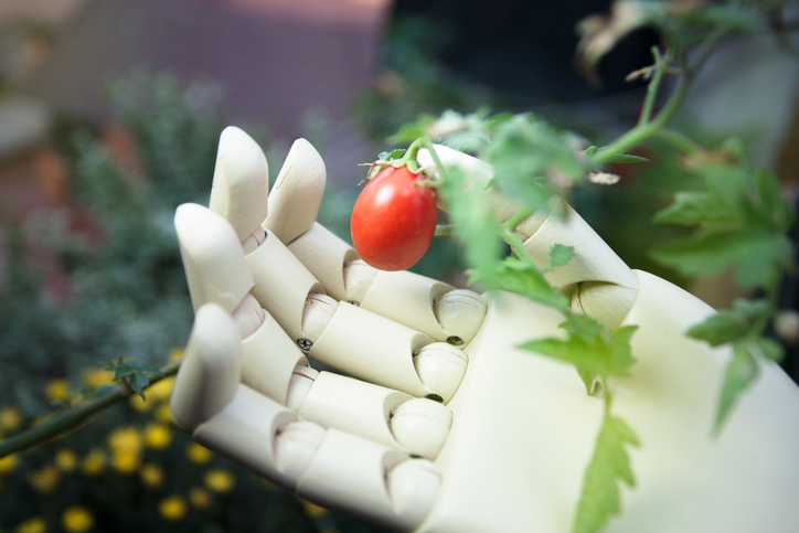AI robot android hand holding fruit representing AI in agriculture and food