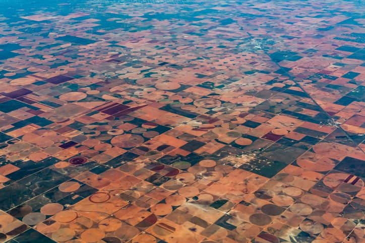 Complexity, AI & the future of food: Boosting agriculture’s climate resilience
