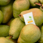 Hazel Technologies sachet among pears