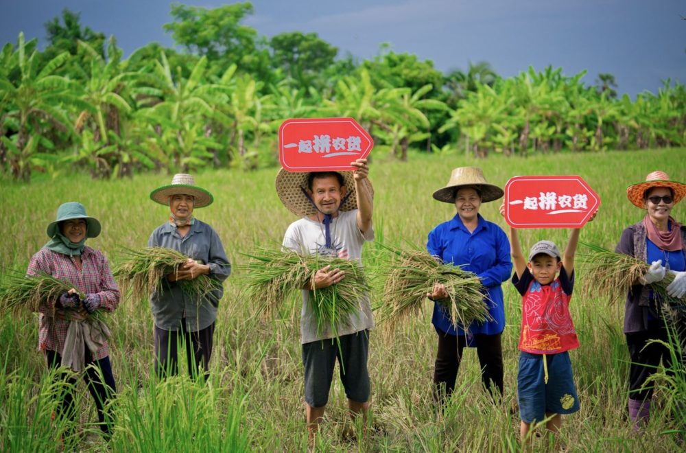 Pinduoduo rice farmers