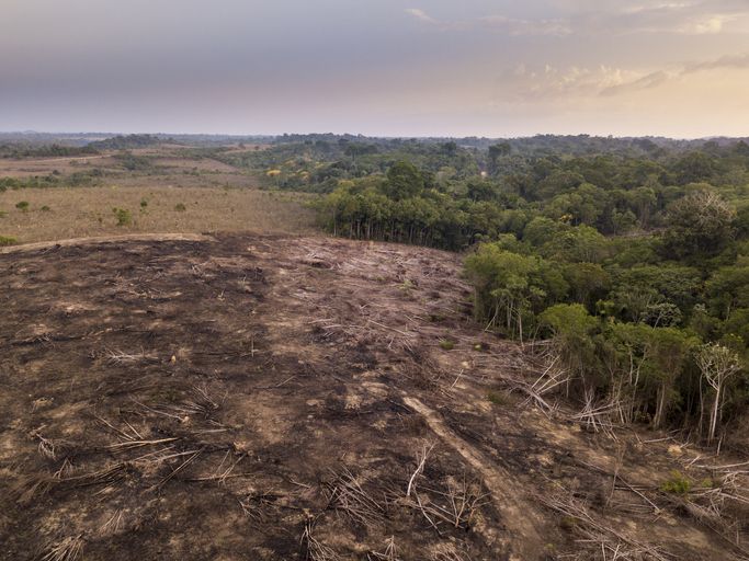 Amazon deforestation in Para, Brazil
