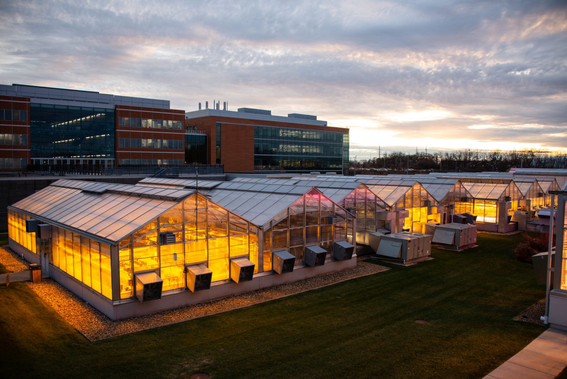 Danforth Plant Science Center aims for faster agtech innovation in-house