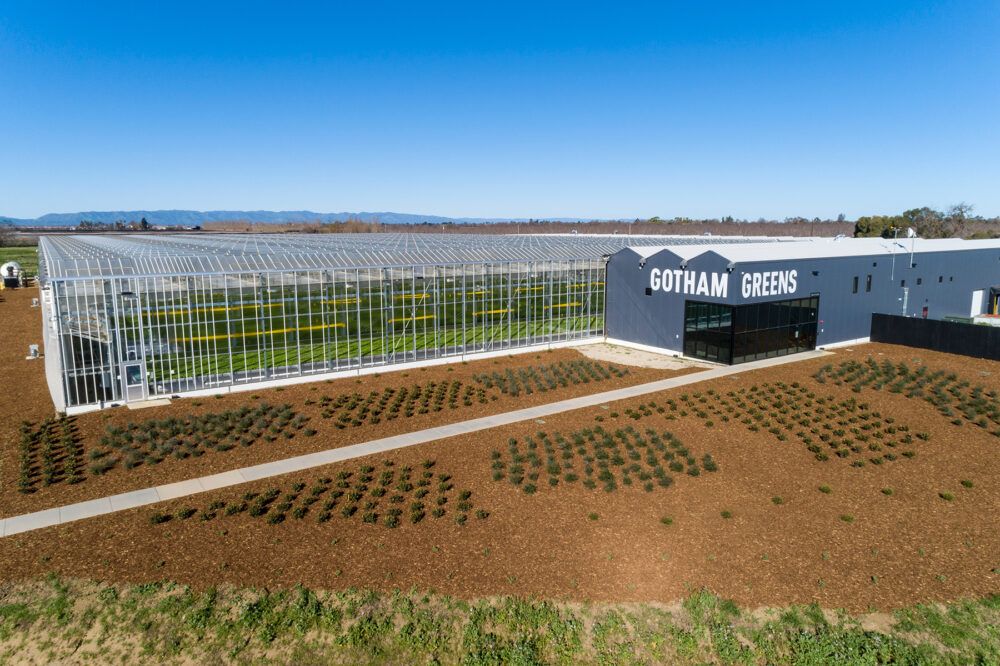 Gotham Greens raises 0m to build greenhouses across the US