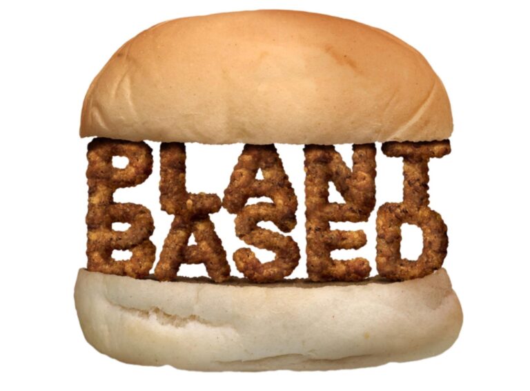 Plant-based meat