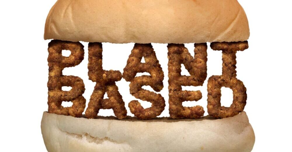 Plant-based meat