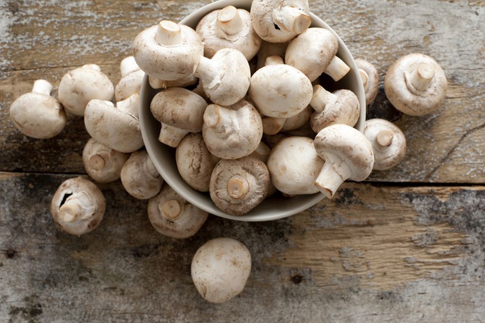 Chinova's Chiber preservative, which is extracted from the upcycled stalks of white button mushrooms, contains 96% chitosan and up to 5% beta-1,3-D-glucans. 