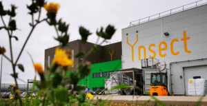 The Ÿnsect mealworm farm in Amiens, France. Image credit: Ÿnsect