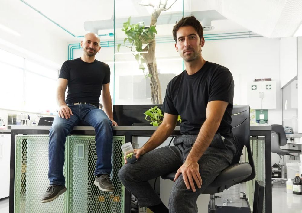 Neoplants founders Patrick Torbey and Lionel Mora