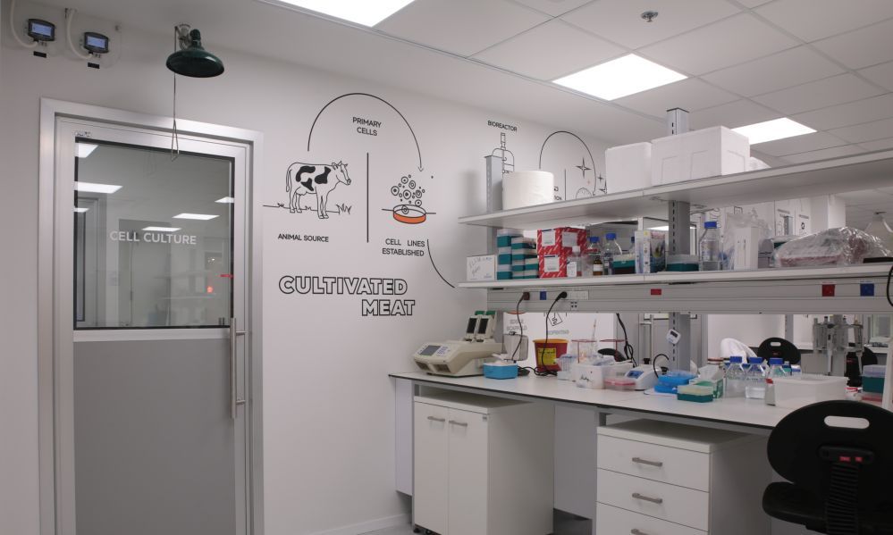 The Kitchen Labs cell culture room. 