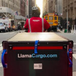 Llama Cargo Scooter