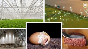 2023 in review from indoor farming to AI, alternative proteins, plant-based meat and in-ovo sexing