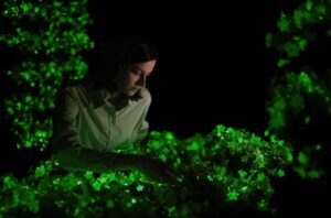 Light Bio’s bioluminescent plants show ‘magic’ of biotech
