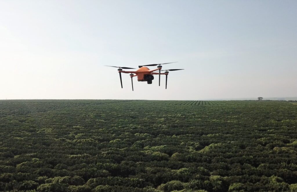 SeeTree banks $17.5m to expand its 'tree intelligence' platform