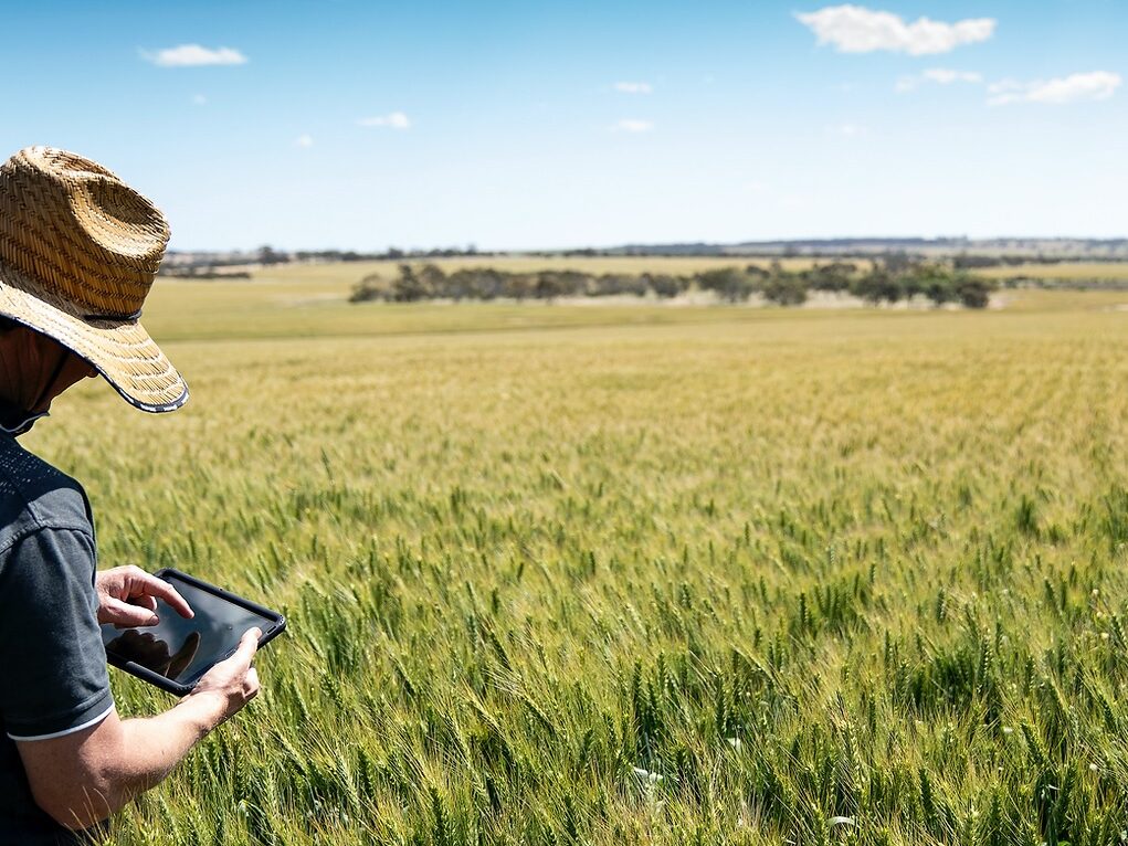 GrainInnovate invests in unique startups developing agtech tools that address challenges for grain growers.