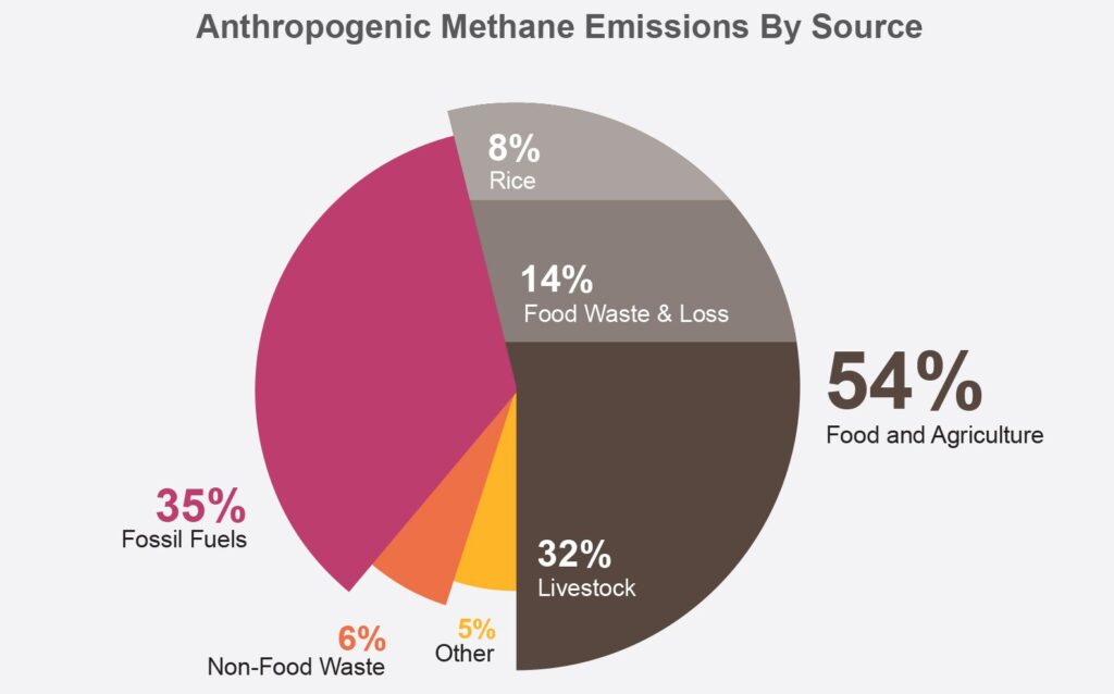 anthropogenic sources of methane