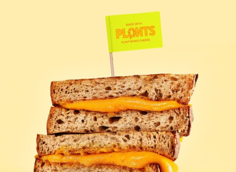 Plonts plant based cheese Image credit Stephanie Gonot