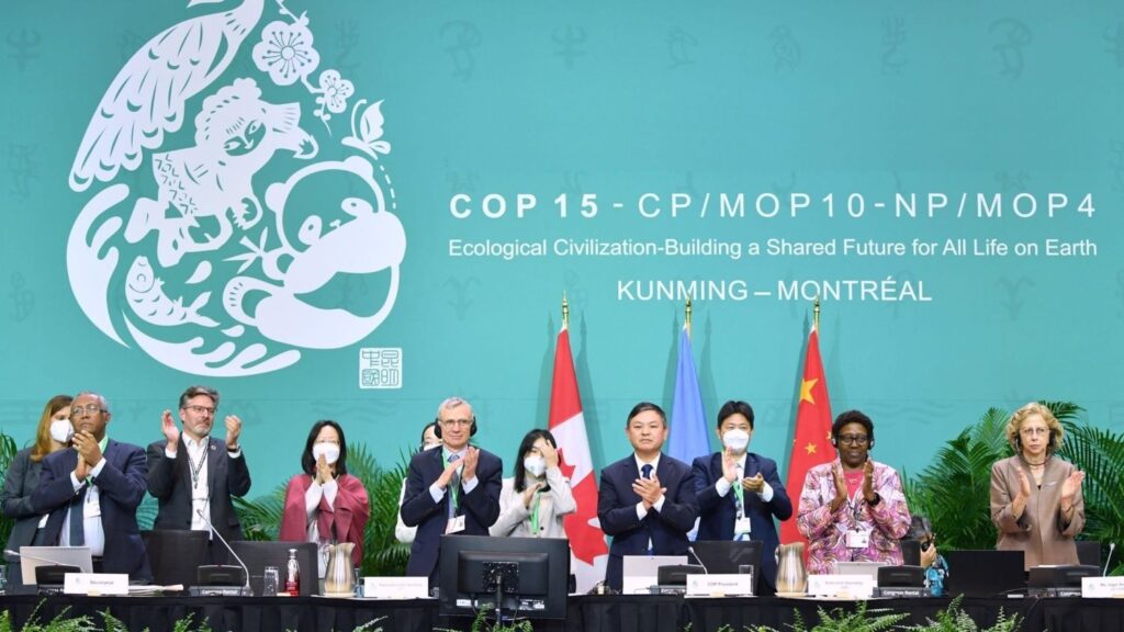 Governments falling 'far short' of marine biodiversity targets