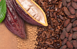 Cocoa fruit Image credit: iStock/every-day-better-to-do-everything-you-love