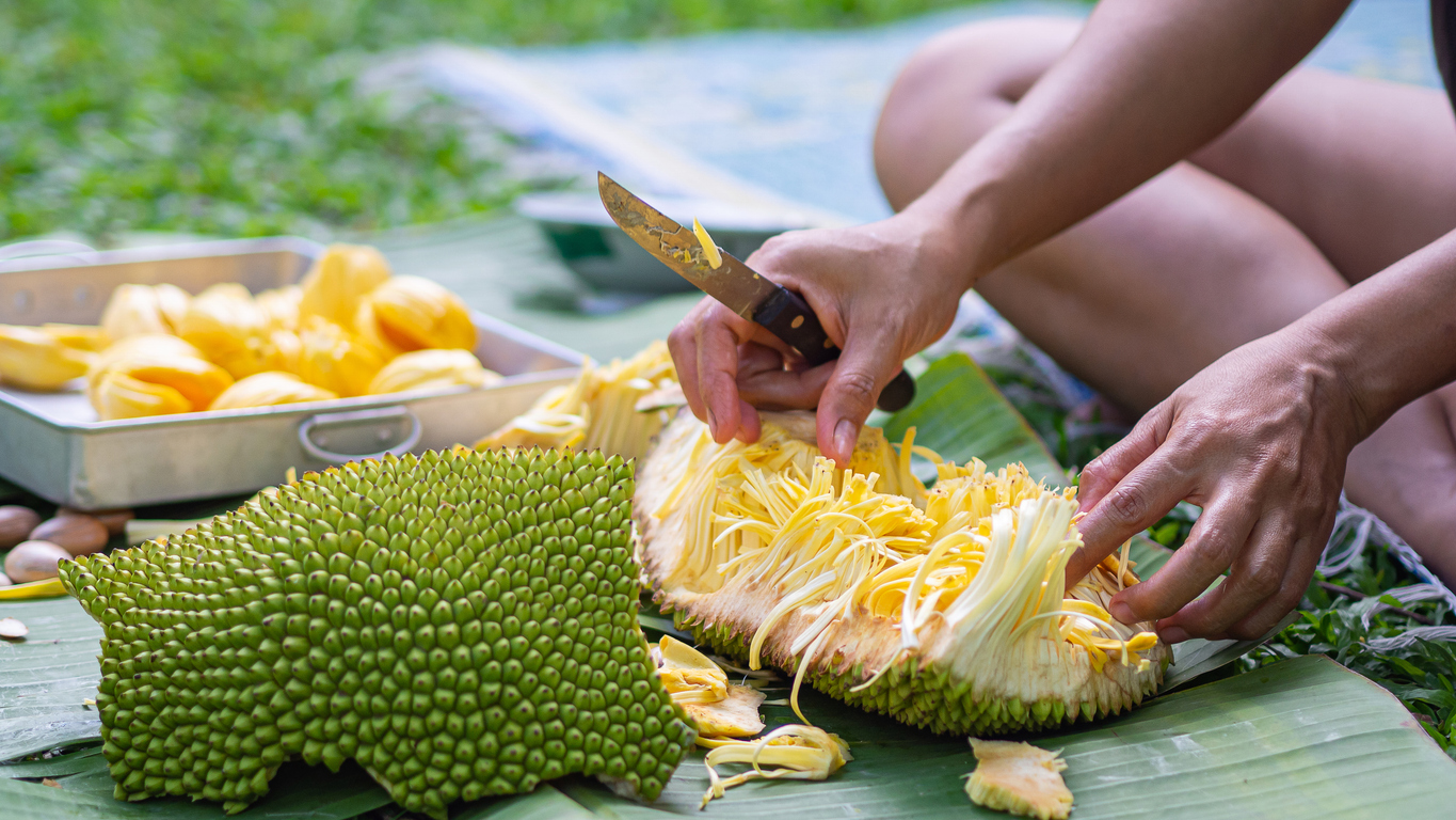 Ripe jackfruit, which has developed complex sugars, is sweeter and higher in calories than young jackfruit, but also high in vitamin E manganese, fiber, potassium, and magnesium, says The Jackfruit Company. Image credit: istock/boonstudio