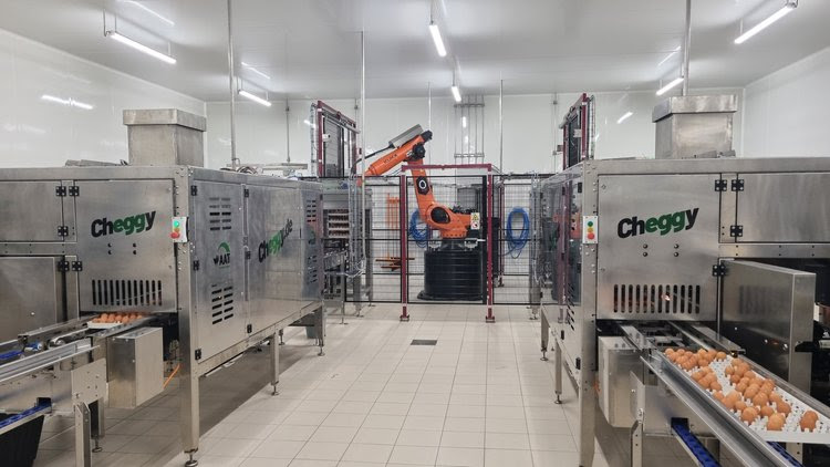 AAT's Cheggy in ovo sexing hyperspectral imaging tech is now in use at Hy-Line North America's Iowa hatchery and a second location in Texas. Image credit: AAT